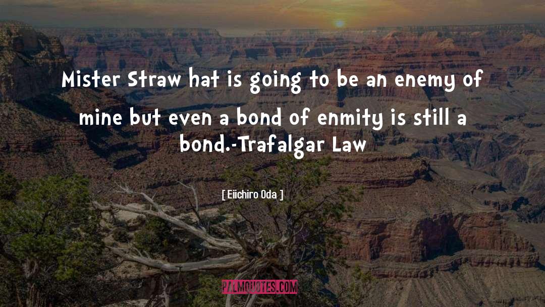 Eiichiro Oda Quotes: Mister Straw hat is going