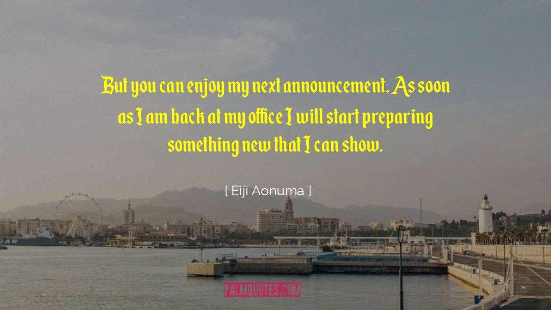 Eiji Aonuma Quotes: But you can enjoy my