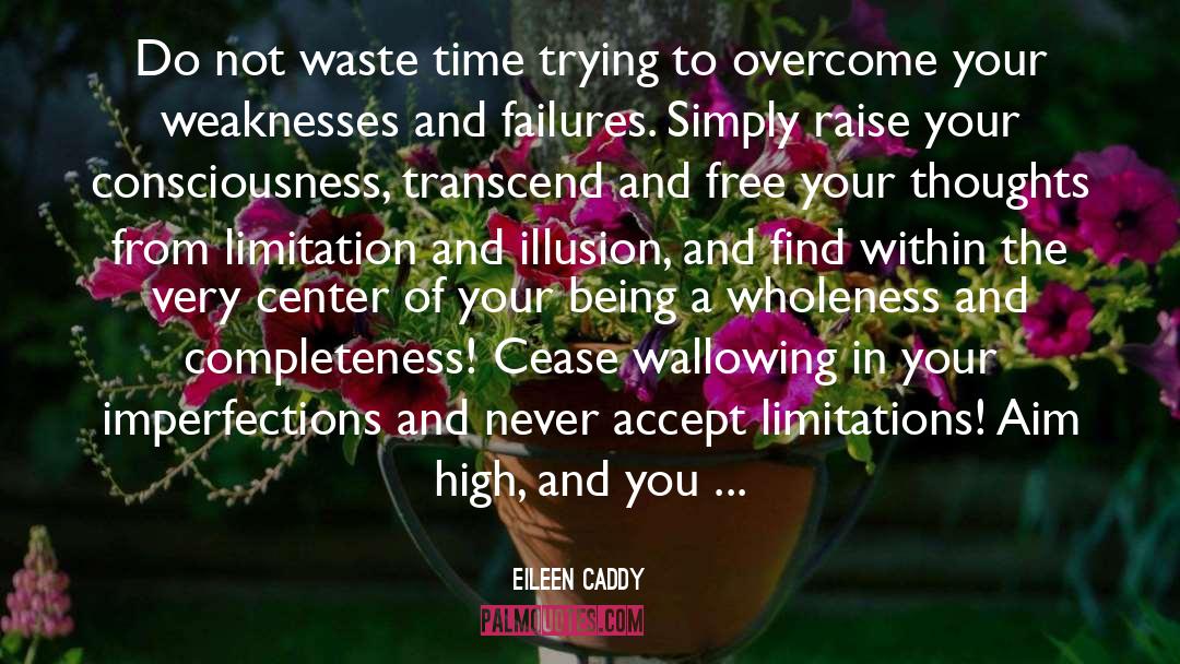 Eileen Caddy Quotes: Do not waste time trying