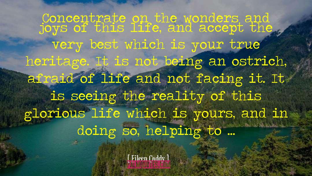 Eileen Caddy Quotes: Concentrate on the wonders and