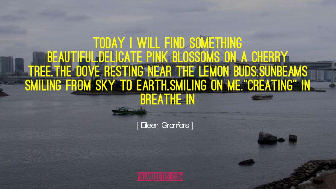 Eileen Granfors Quotes: Today I will find something