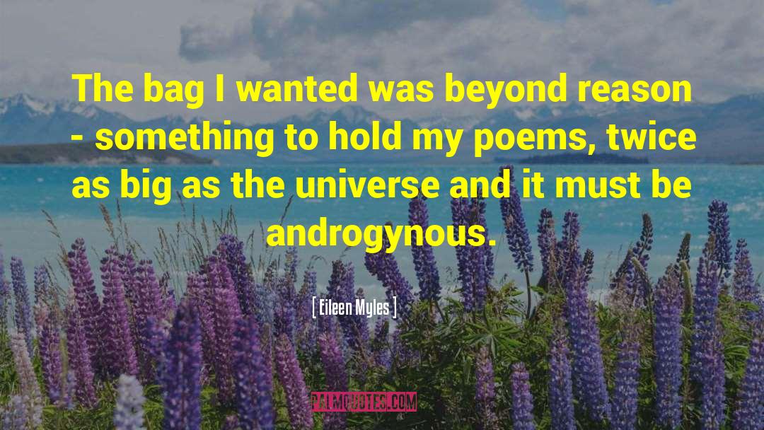 Eileen Myles Quotes: The bag I wanted was