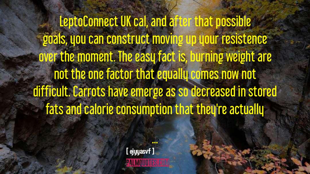 Ejyyasvf Quotes: LeptoConnect UK cal, and after