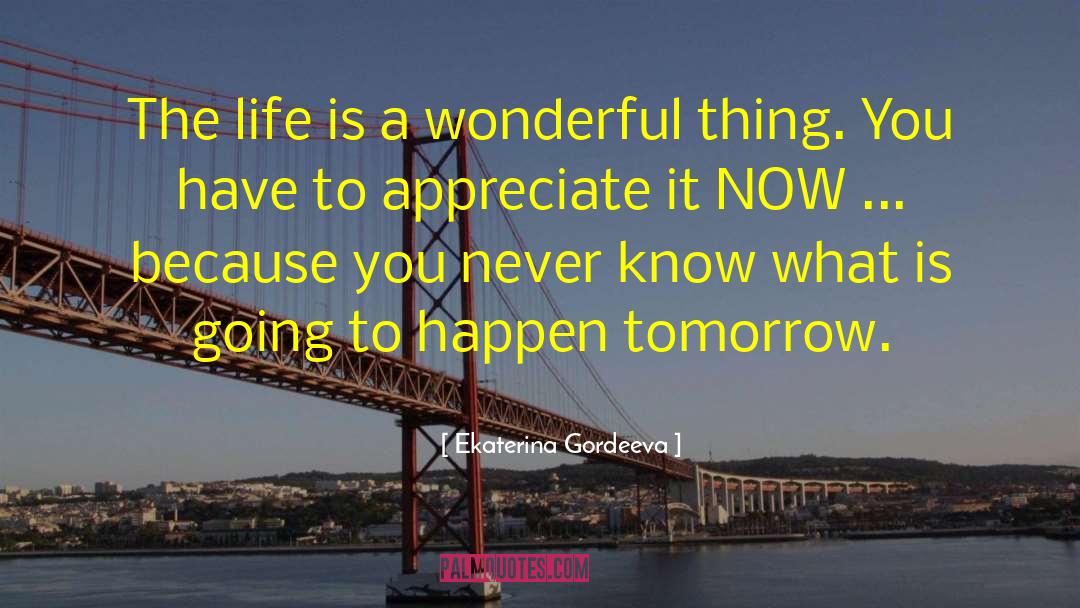 Ekaterina Gordeeva Quotes: The life is a wonderful