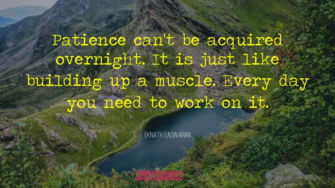 Eknath Easwaran Quotes: Patience can't be acquired overnight.