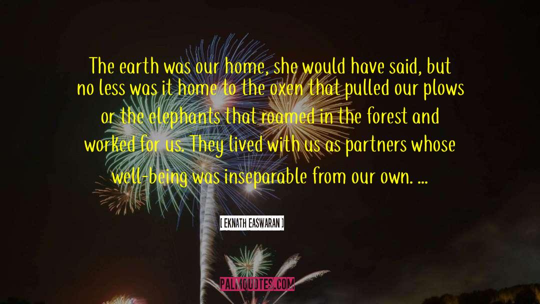 Eknath Easwaran Quotes: The earth was our home,