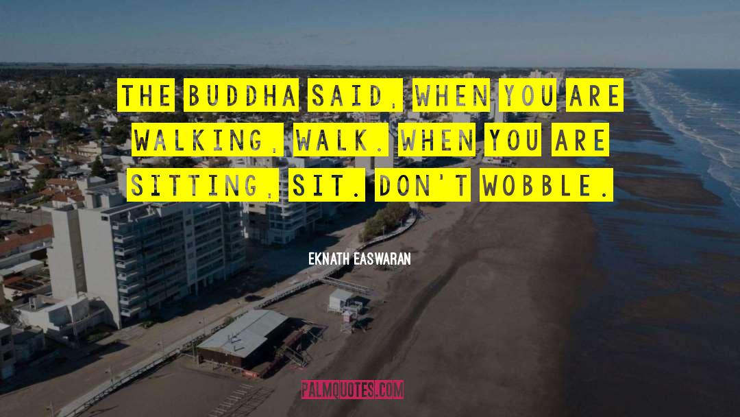 Eknath Easwaran Quotes: The Buddha said, When you