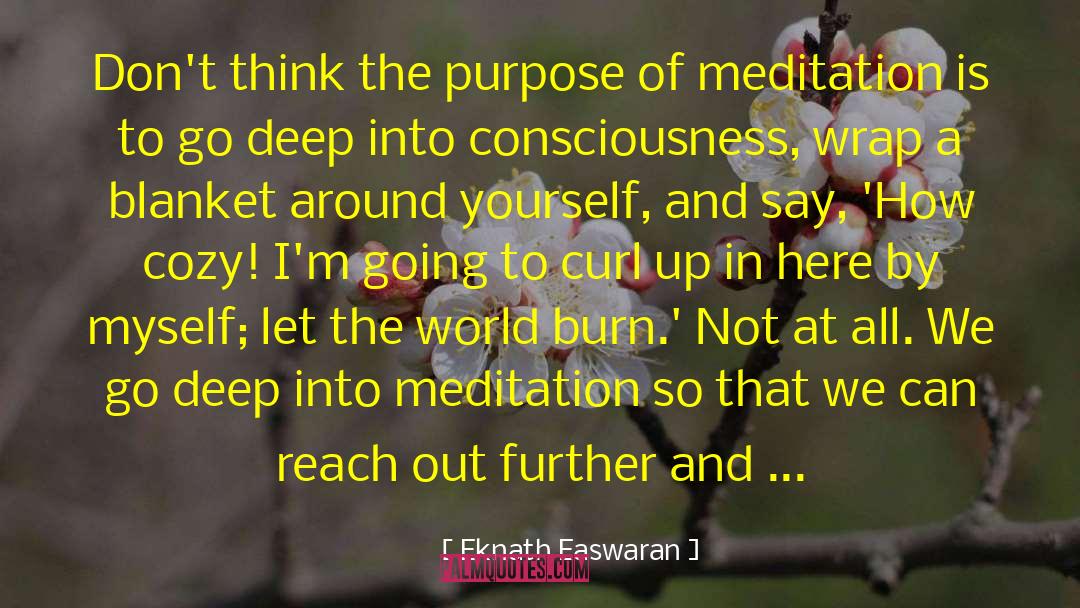 Eknath Easwaran Quotes: Don't think the purpose of