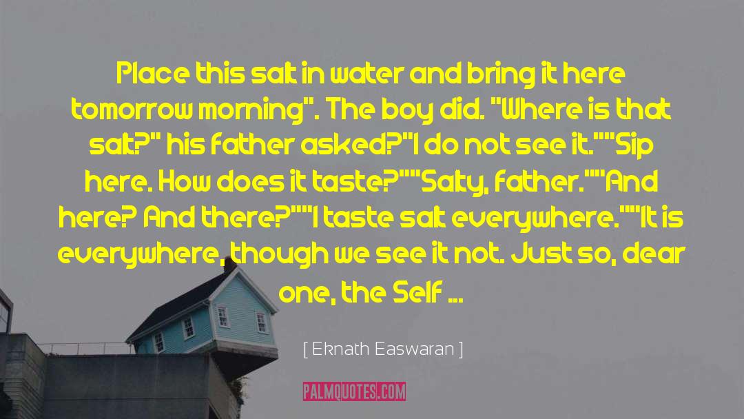 Eknath Easwaran Quotes: Place this salt in water