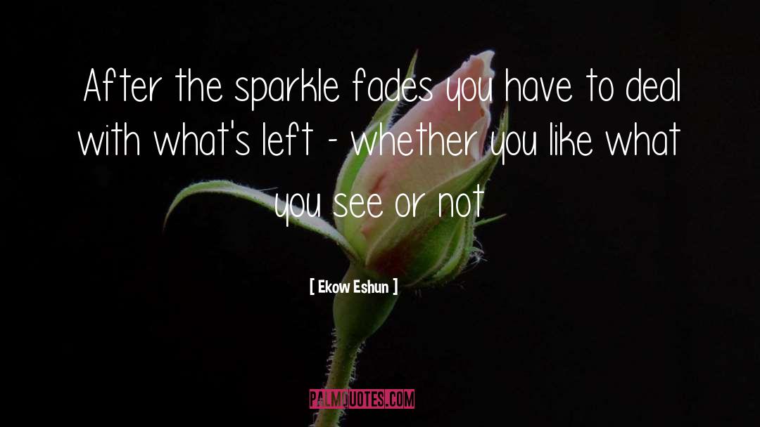 Ekow Eshun Quotes: After the sparkle fades you