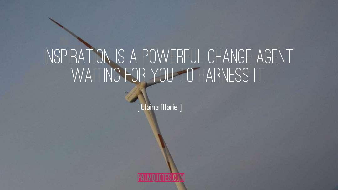 Elaina Marie Quotes: Inspiration is a powerful change