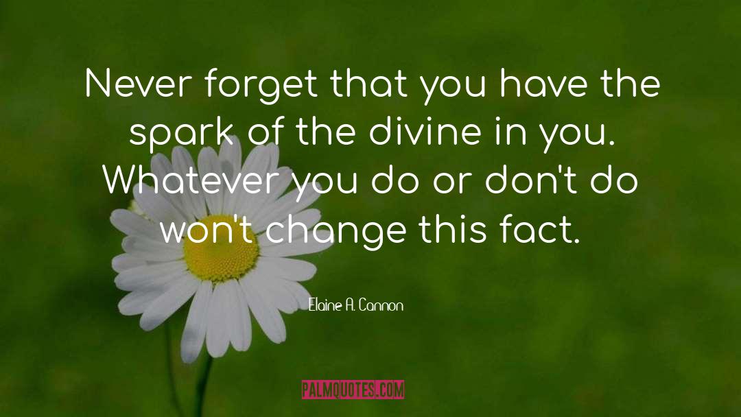 Elaine A. Cannon Quotes: Never forget that you have