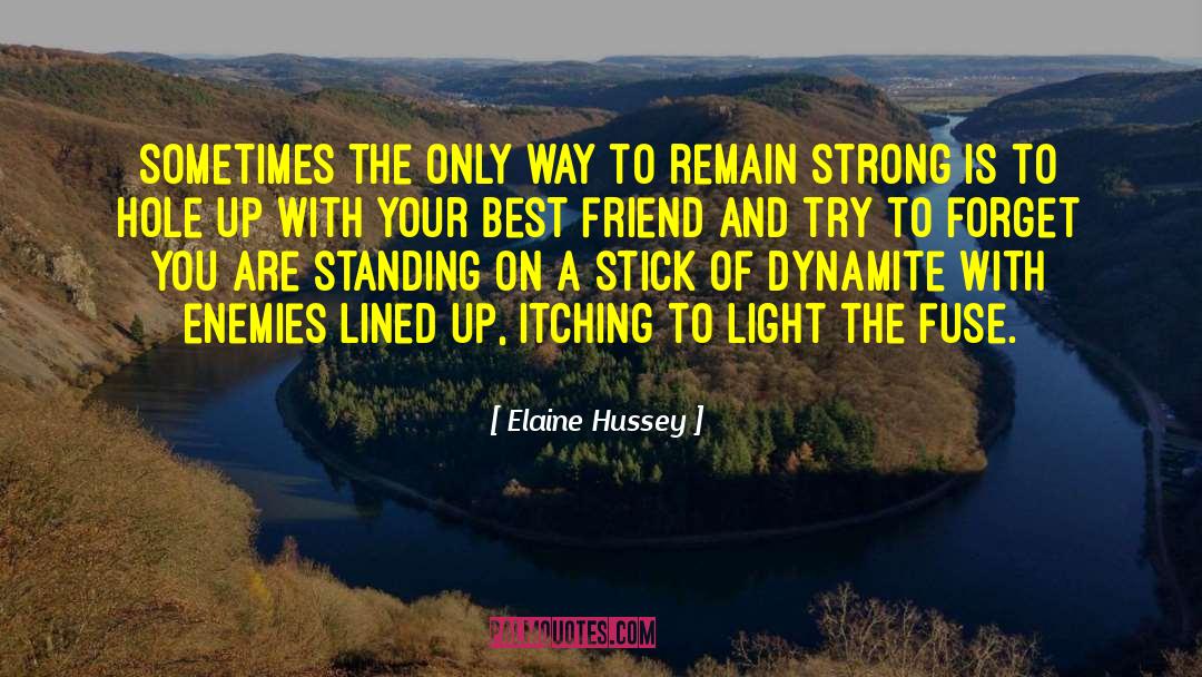 Elaine Hussey Quotes: Sometimes the only way to