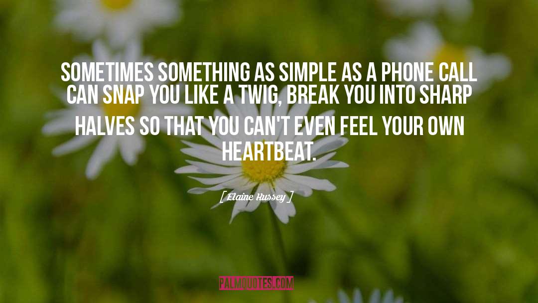 Elaine Hussey Quotes: Sometimes something as simple as