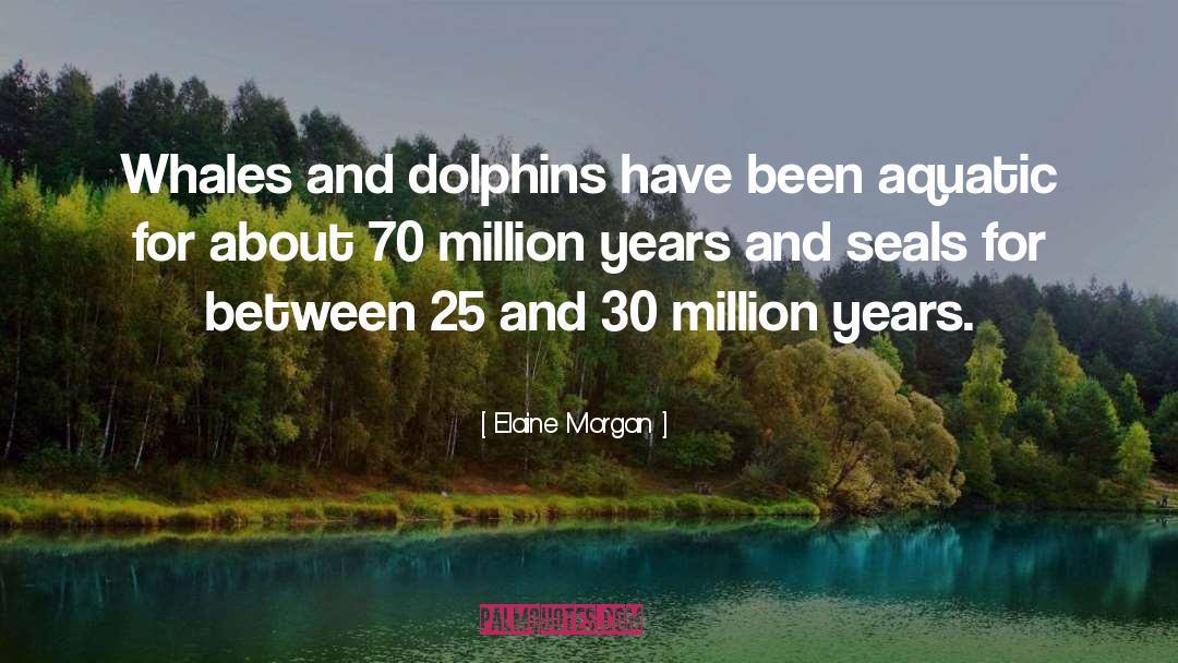 Elaine Morgan Quotes: Whales and dolphins have been