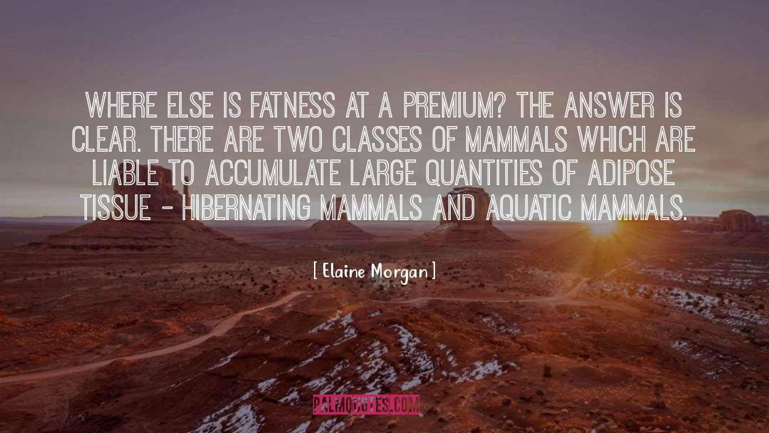 Elaine Morgan Quotes: Where else is fatness at