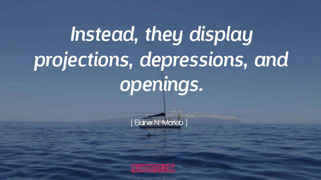 Elaine N. Marieb Quotes: Instead, they display projections, depressions,