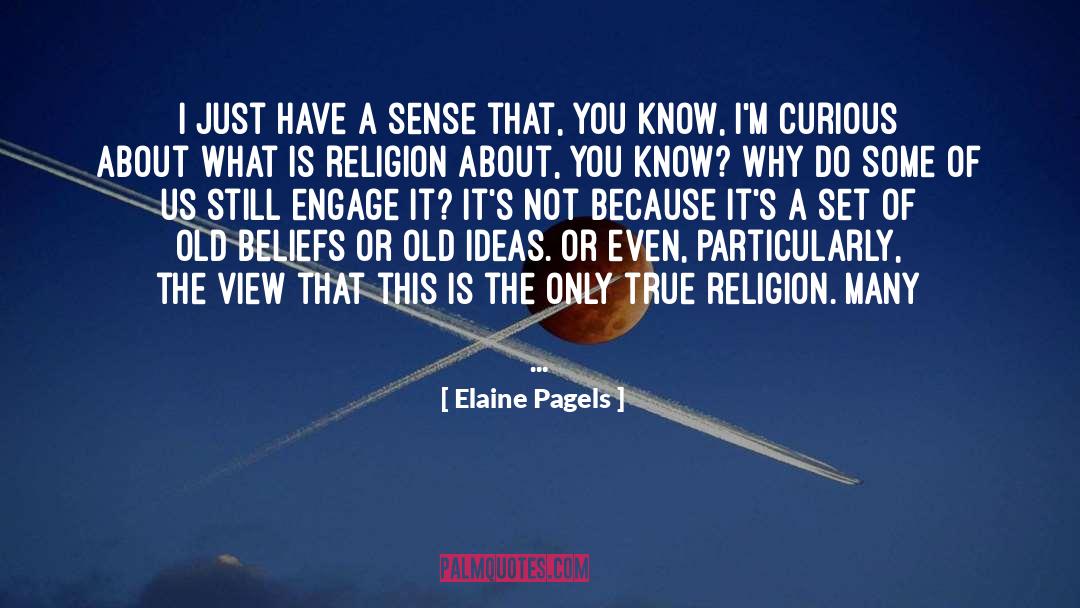 Elaine Pagels Quotes: I just have a sense