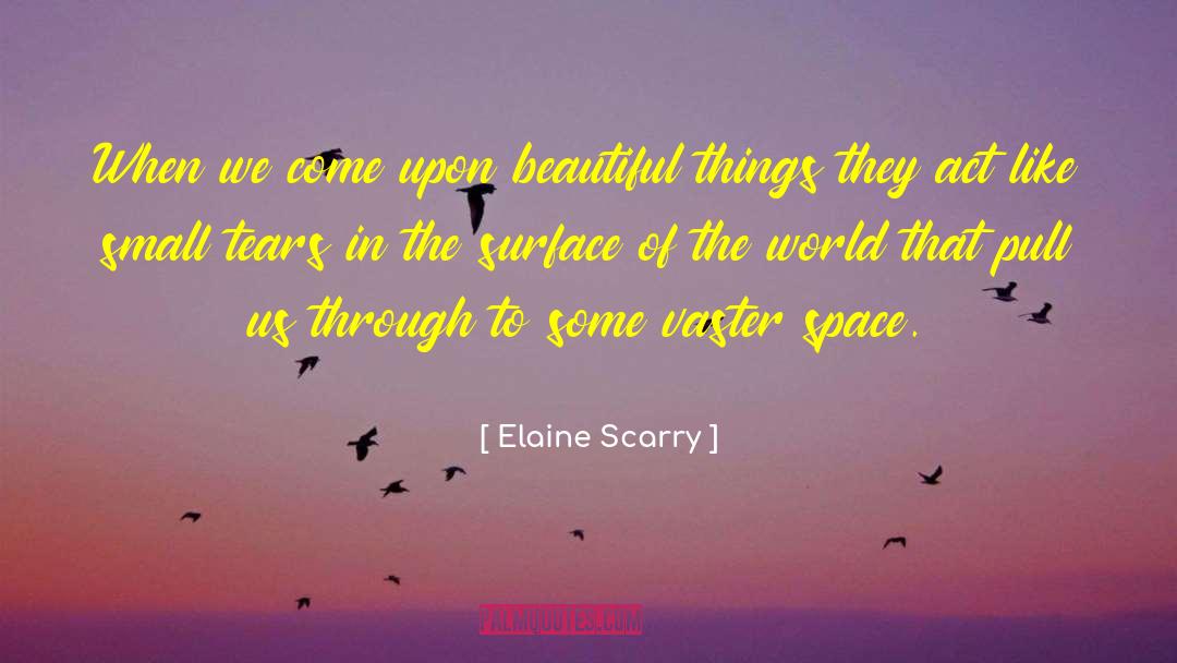 Elaine Scarry Quotes: When we come upon beautiful