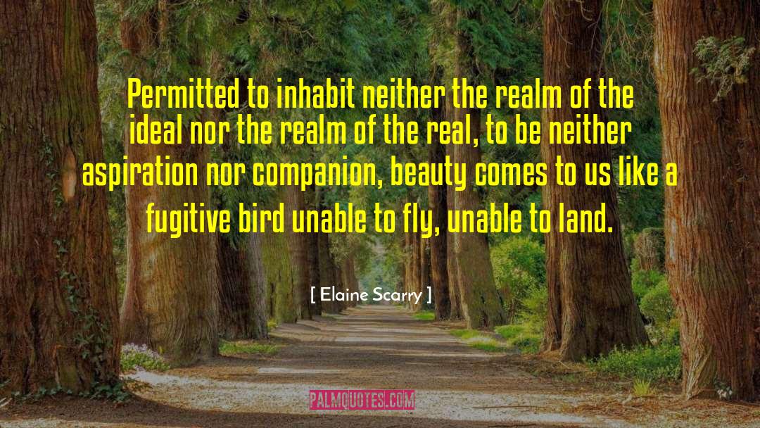 Elaine Scarry Quotes: Permitted to inhabit neither the