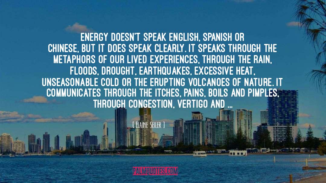 Elaine Seiler Quotes: Energy doesn't speak English, Spanish