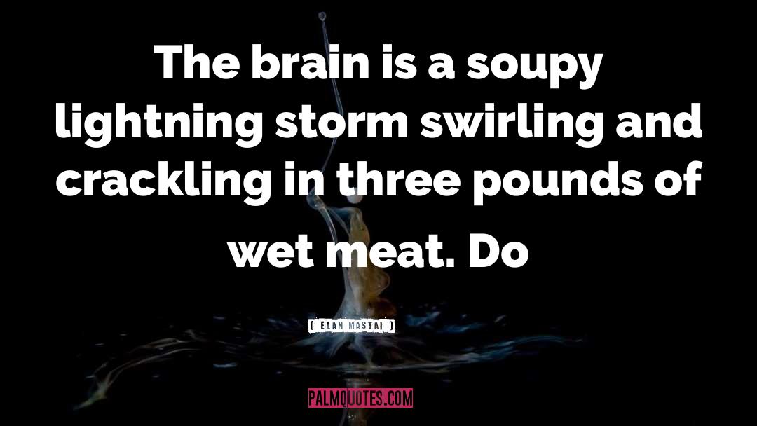 Elan Mastai Quotes: The brain is a soupy