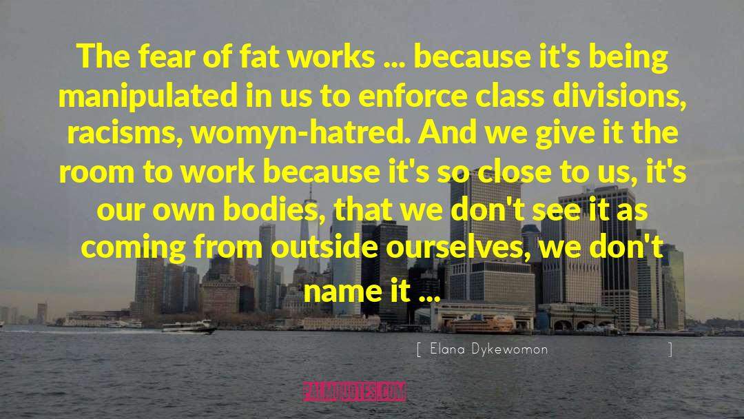 Elana Dykewomon Quotes: The fear of fat works