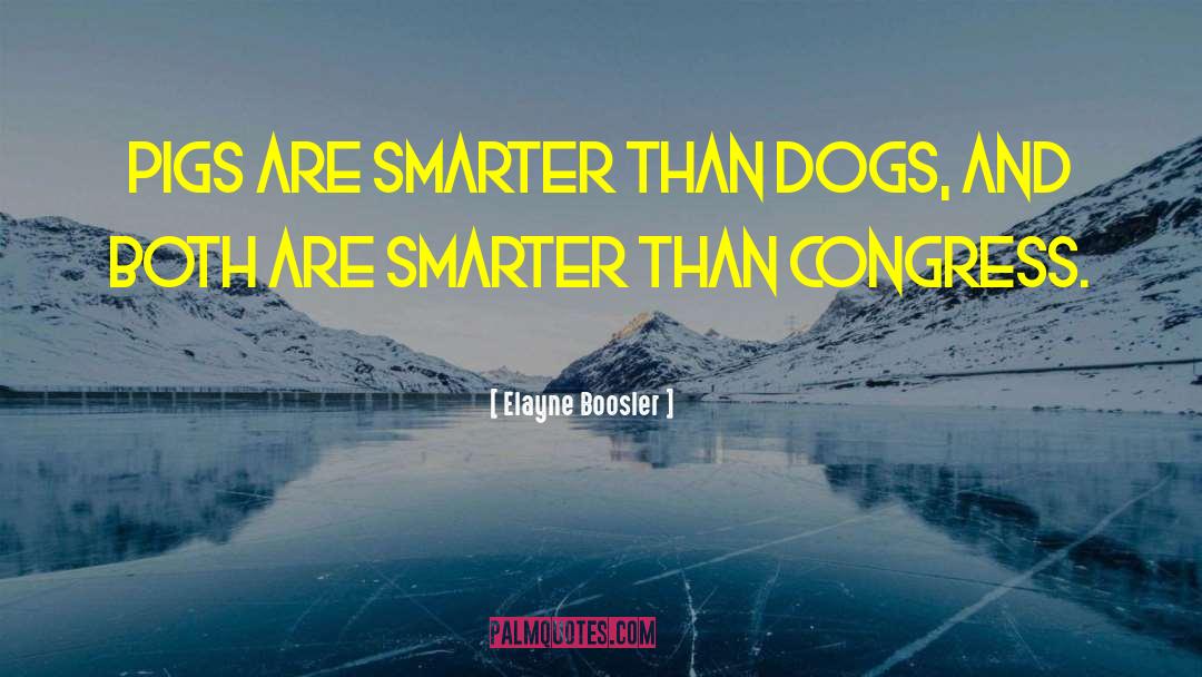 Elayne Boosler Quotes: Pigs are smarter than dogs,
