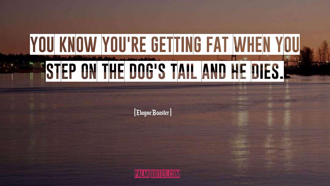 Elayne Boosler Quotes: You know you're getting fat