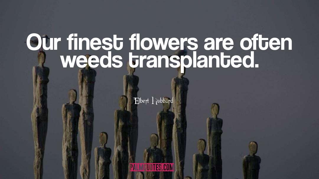 Elbert Hubbard Quotes: Our finest flowers are often