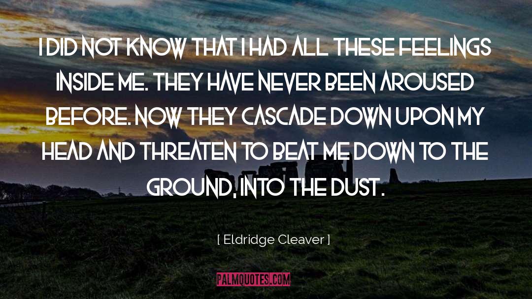 Eldridge Cleaver Quotes: I did not know that