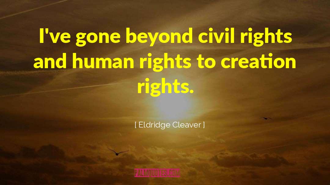 Eldridge Cleaver Quotes: I've gone beyond civil rights