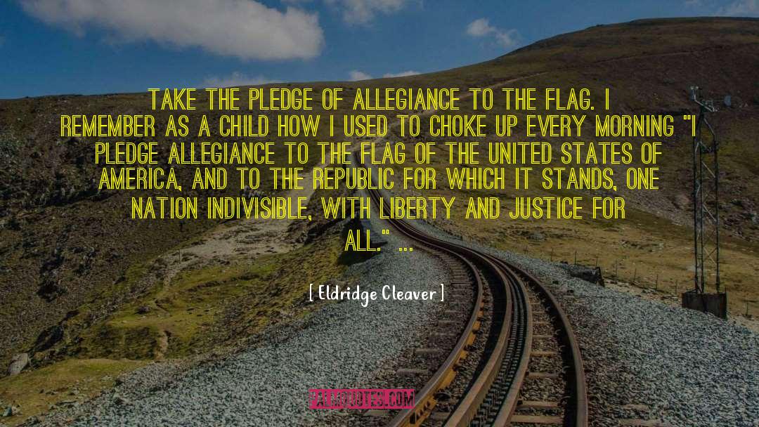 Eldridge Cleaver Quotes: Take the Pledge of Allegiance