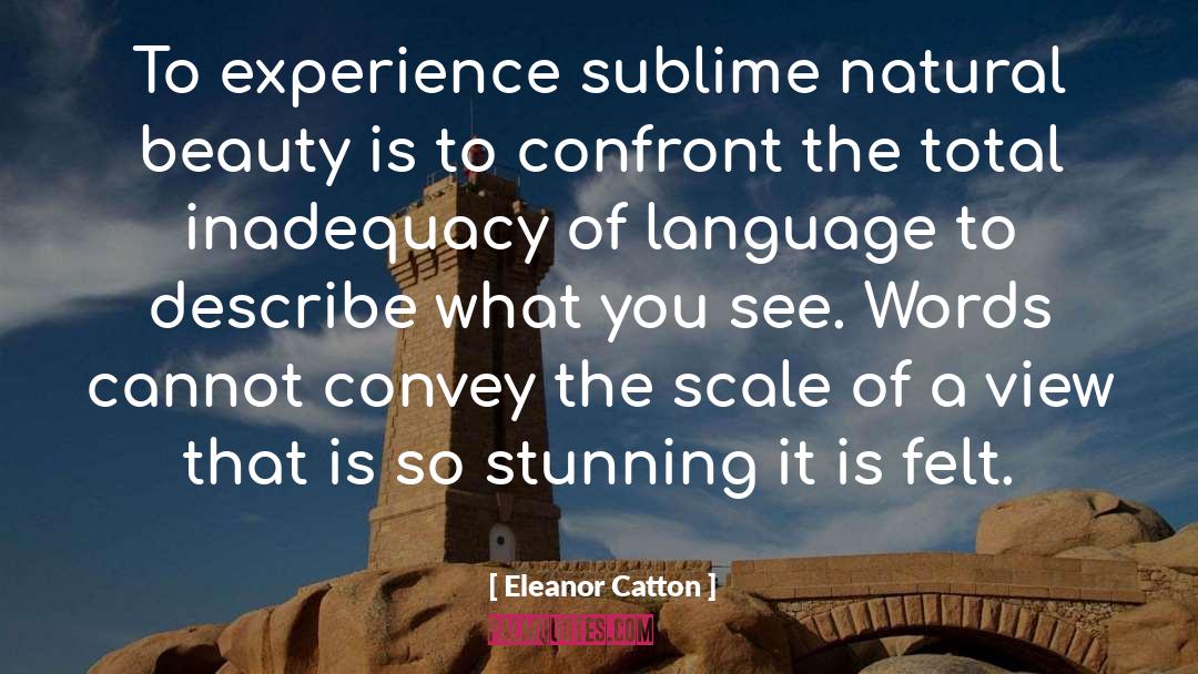 Eleanor Catton Quotes: To experience sublime natural beauty