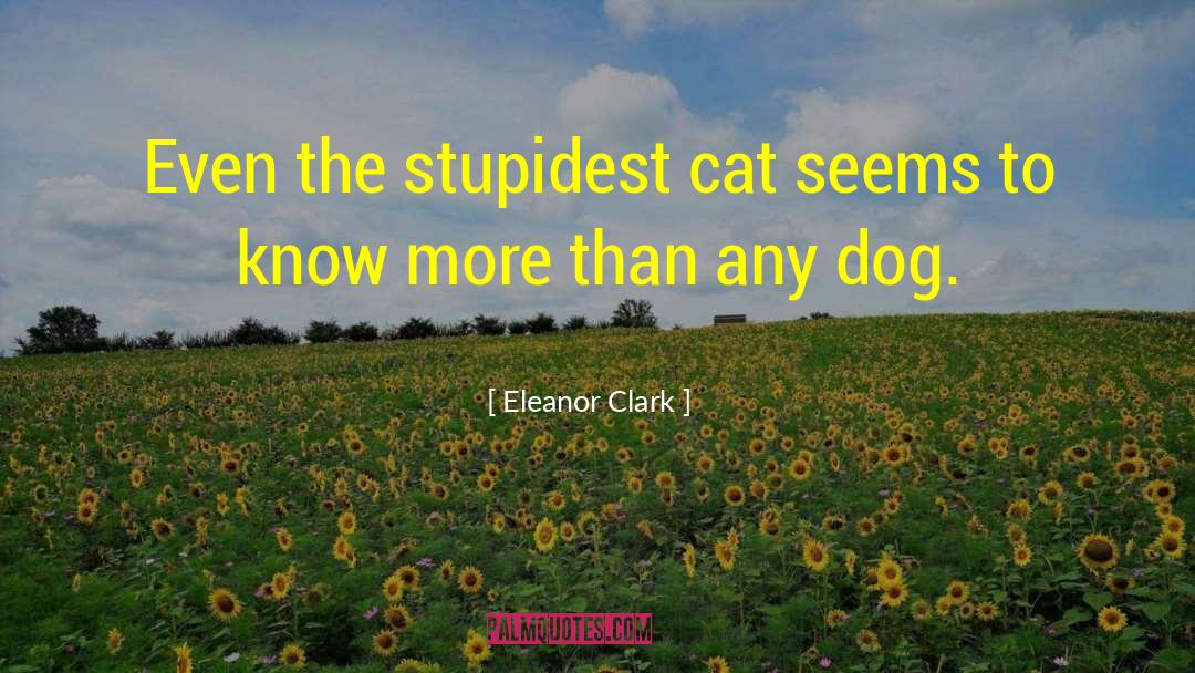 Eleanor Clark Quotes: Even the stupidest cat seems