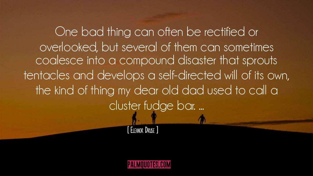 Eleanor Druse Quotes: One bad thing can often