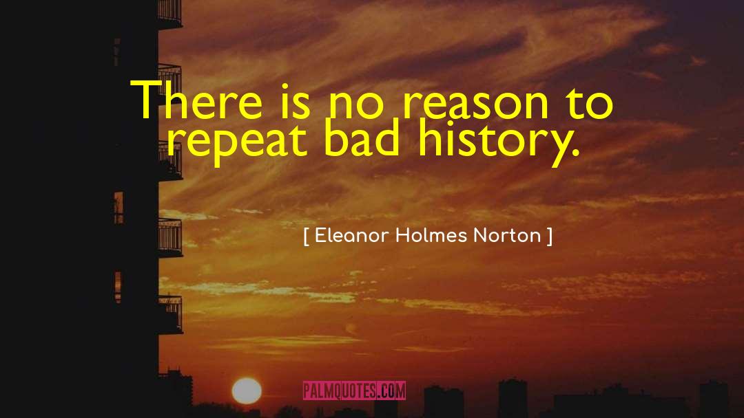 Eleanor Holmes Norton Quotes: There is no reason to
