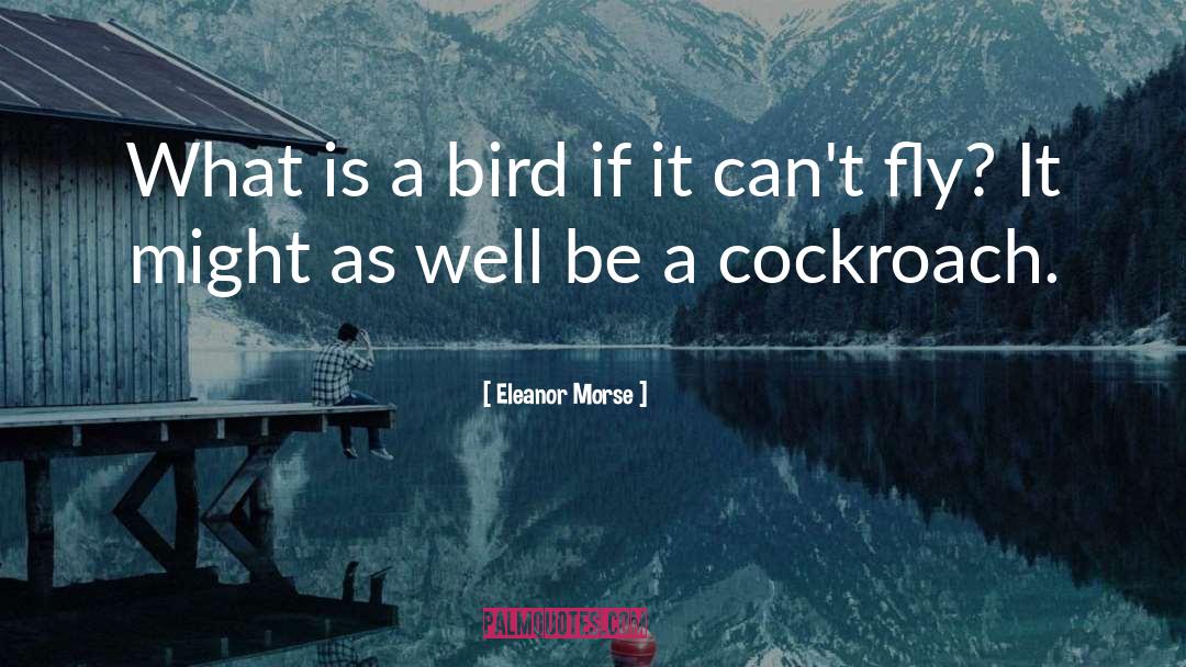 Eleanor Morse Quotes: What is a bird if