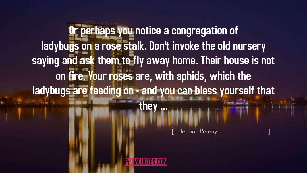 Eleanor Perenyi Quotes: Or perhaps you notice a