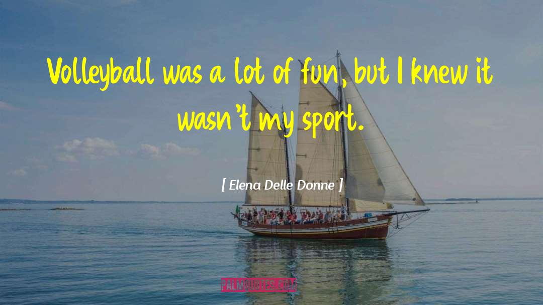 Elena Delle Donne Quotes: Volleyball was a lot of