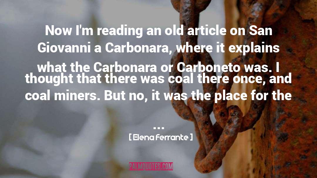 Elena Ferrante Quotes: Now I'm reading an old