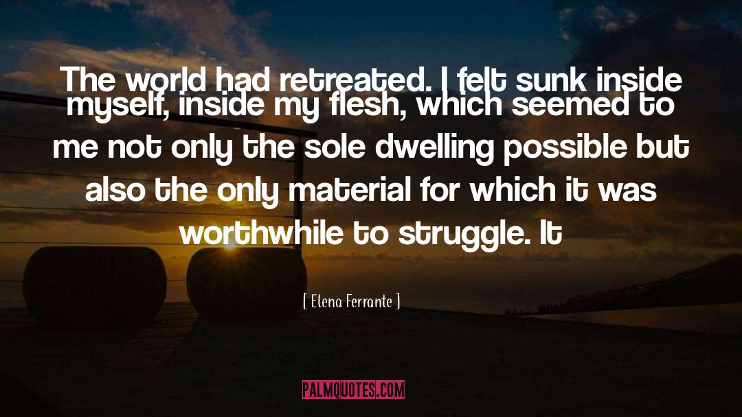 Elena Ferrante Quotes: The world had retreated. I