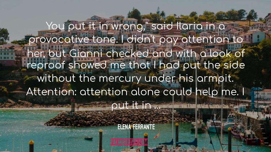 Elena Ferrante Quotes: You put it in wrong,
