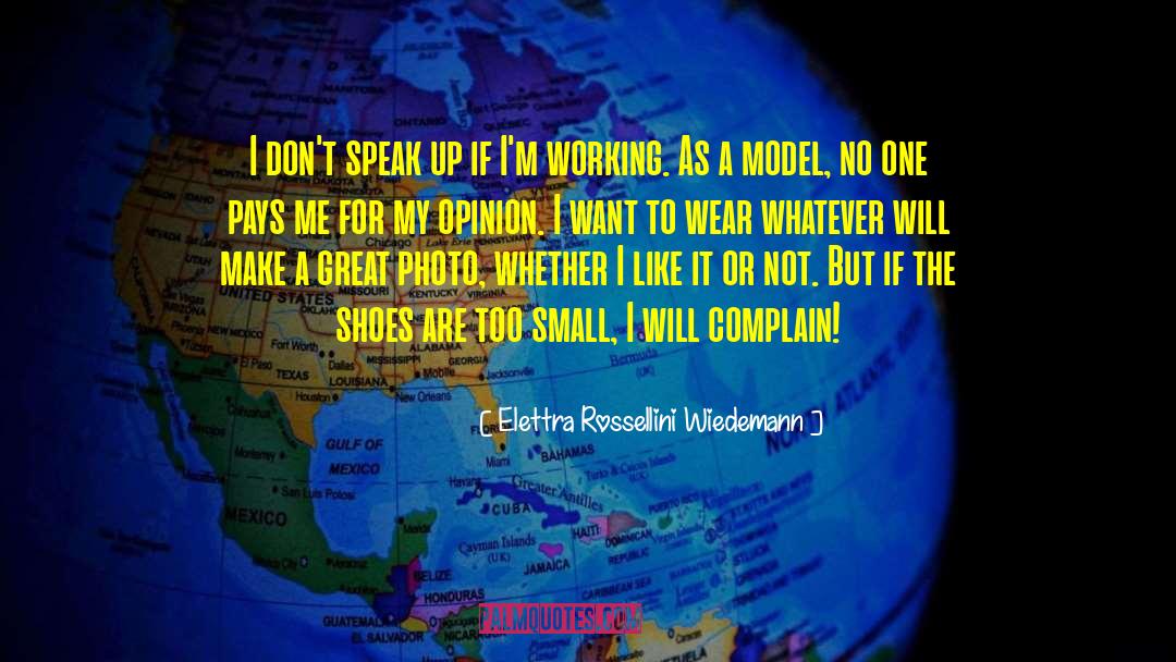 Elettra Rossellini Wiedemann Quotes: I don't speak up if