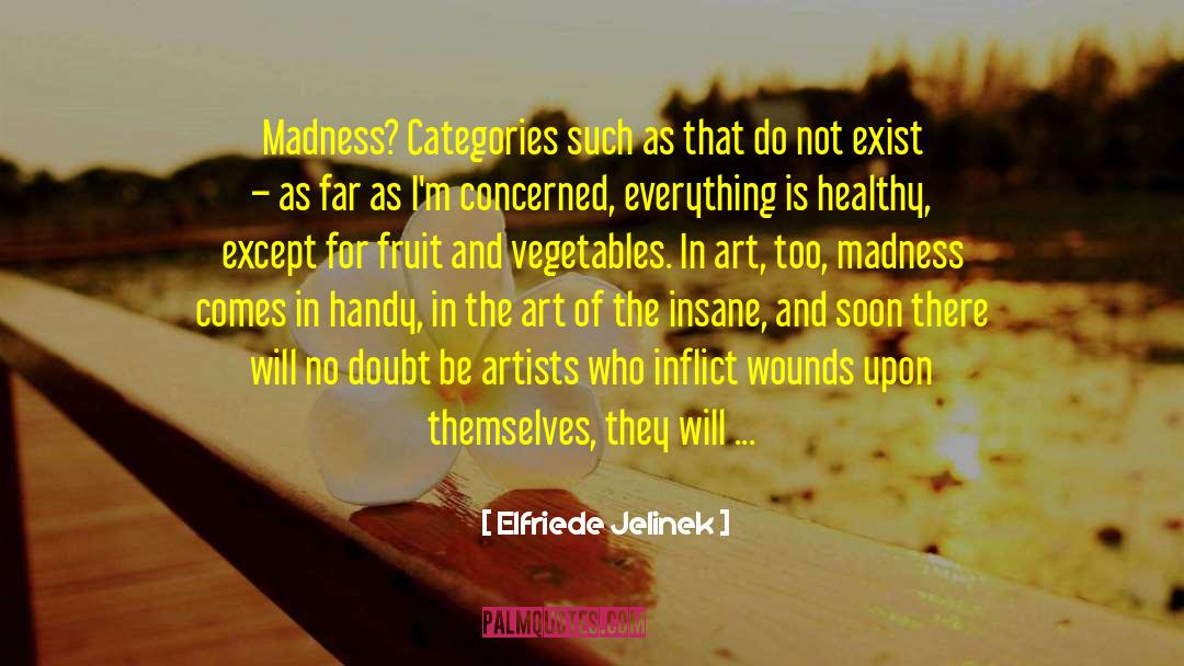 Elfriede Jelinek Quotes: Madness? Categories such as that