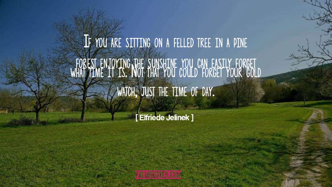 Elfriede Jelinek Quotes: If you are sitting on