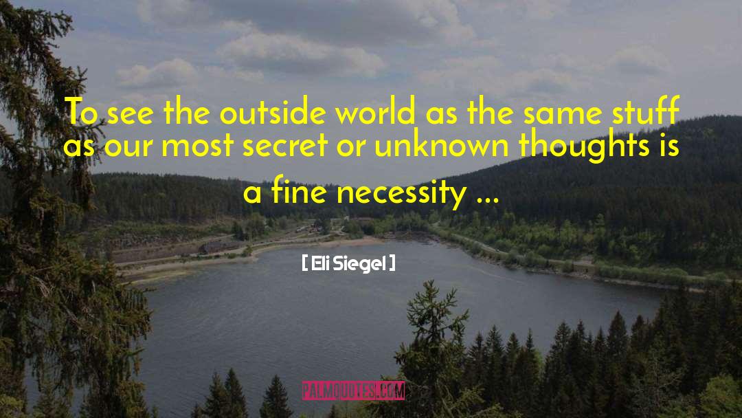 Eli Siegel Quotes: To see the outside world