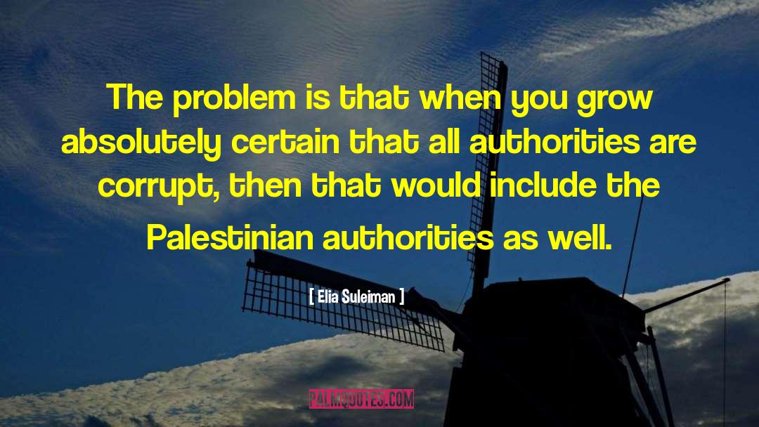 Elia Suleiman Quotes: The problem is that when