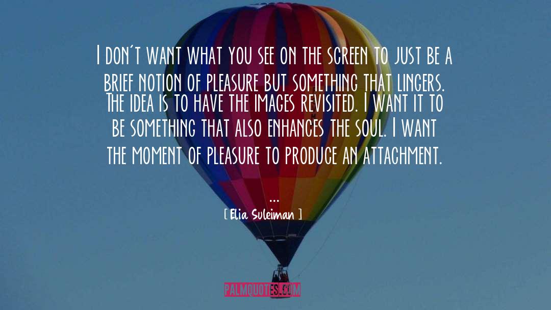 Elia Suleiman Quotes: I don't want what you