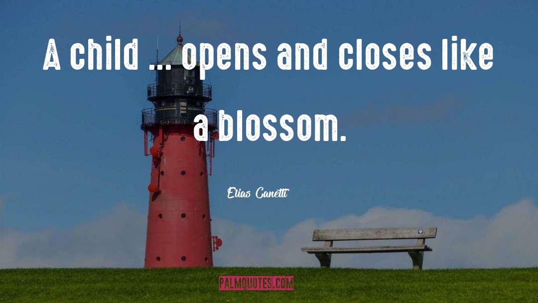 Elias Canetti Quotes: A child ... opens and